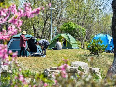 青岛西海岸新区：“五一”接待游客约37万人，民宿游露营游等成新亮点