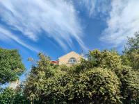 “美颜模式”开启 ！“青岛蓝”刷屏朋友圈