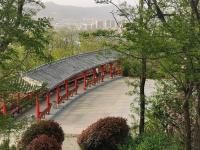 象耳山公园：打翻春的调色盘|口袋公园兜住“微幸福”②