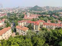 “色香味俱全”的画面：5月岛城槐花飘香