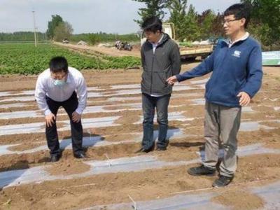 助力绿色农业！海益塑业联合万华化学推广全生物降解地膜