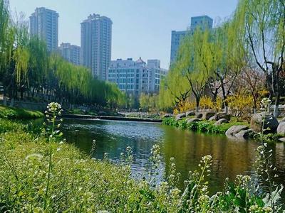 20年来青岛再生水回用量达4.3亿吨，相当于8个崂山水库