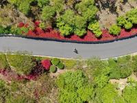 双山公园：有诗意的晨练佳境|口袋公园兜住“微幸福”⑦