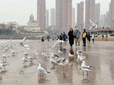 为何这个春天格外"冷"？未来气温趋势如何？