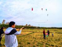 五米长的八爪鱼风筝见过没？这处湿地公园成假期好去处