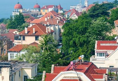 “色香味俱全”的画面：5月岛城槐花飘香