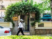 微风起，夏日来，八大关里蔷薇开