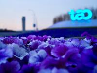 太出片了！盘点胶东国际机场里的6个网红打卡地