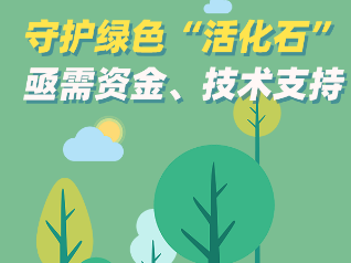 小邱调查 | 守护绿色“活化石”亟需资金、技术支持
