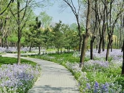 北方暖热升级多地气温创新高！明起冷空气再刷存在感