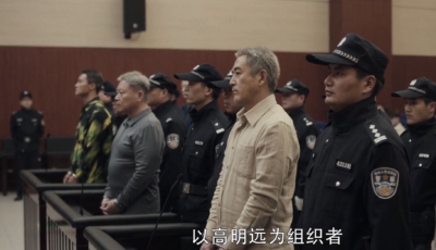 看《扫黑风暴》学反有组织犯罪法