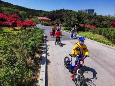 双山公园：有诗意的晨练佳境|口袋公园兜住“微幸福”⑦