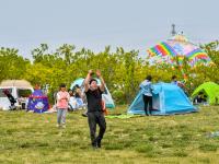 五米长的八爪鱼风筝见过没？这处湿地公园成假期好去处