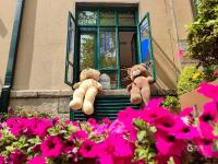 玩转大鲍岛⑫ | 穿越时光，青岛这里有个“鲍藏”街区