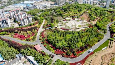 双山公园：有诗意的晨练佳境|口袋公园兜住“微幸福”⑦