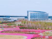 太出片了！盘点胶东国际机场里的6个网红打卡地