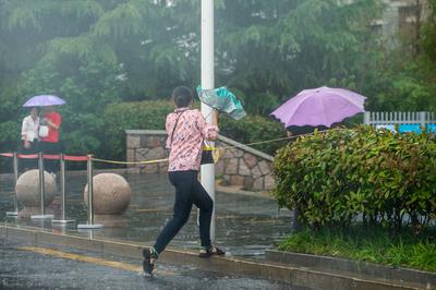 暴雨黄色预警！山东等10省区市部分地区有大到暴雨