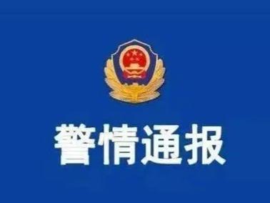 警方通报“店老板见义勇为遭围殴” ：嫌疑人全部落网