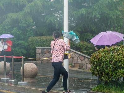 一场好雨！青岛这两天降水量超过今年前5个月的一半，雨还会继续下
