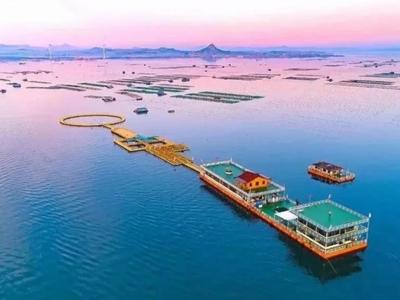 望岳谈丨碳金融全国首单频出，山东转型金融这样探路