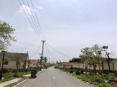 莱西：道德引领和诚信建设齐发力，乡村治理展新颜