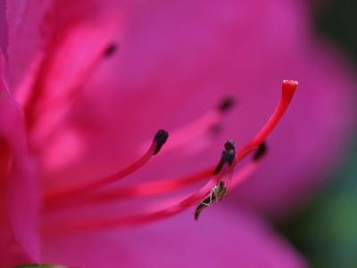 绿意盎然，夏日李村河美了美了！