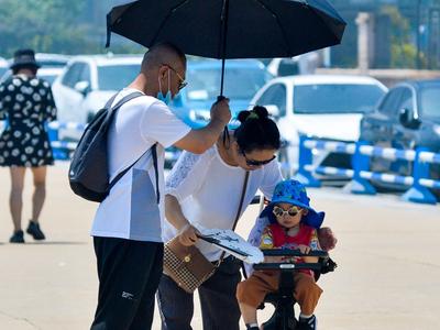 猝不及防！青岛今日最高气温突破30℃
