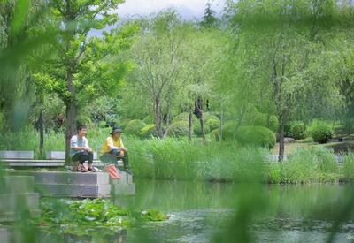 绿意盎然，夏日李村河美了美了！