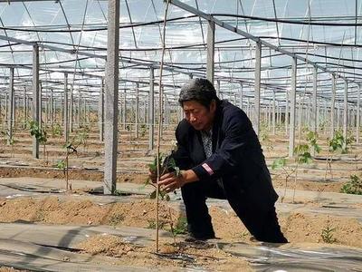 西海岸新区：开展乡村公共资源共享行动，激发乡村振兴内生动力