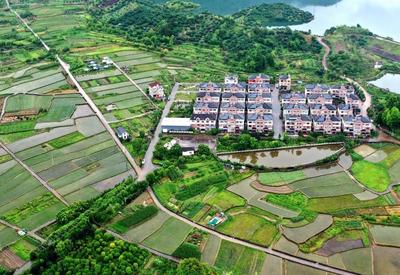 浙江仙居：美丽乡村，景美如画