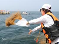 对虾、梭子蟹……被“种”到海里？看镜头