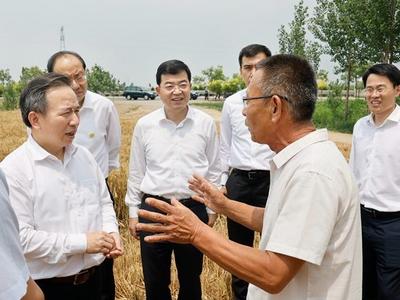 李干杰：全力抓好“三夏”生产，确保粮食应收尽收颗粒归仓