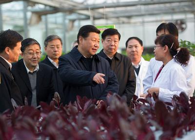 看中国·千家万户的事 | 山东：给农业插上科技的翅膀 助力端稳中国粮