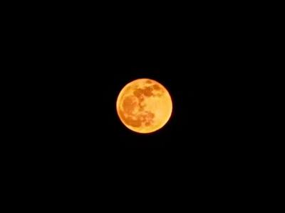 别错过！本年度“第二大满月”明日将现身夜空