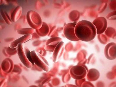 中国科学家找到“调控”免疫系统的人类红细胞