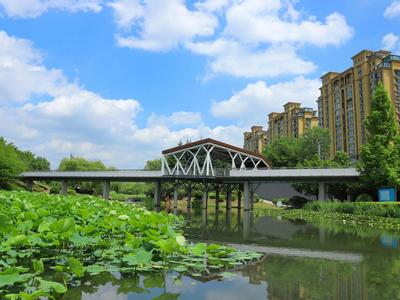绿意盎然，夏日李村河美了美了！