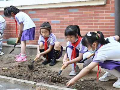 李沧区第二实验小学：劳动创造生活， 汗水成就梦想