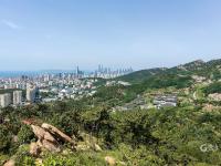 宝藏视角！浮山上有条观海路