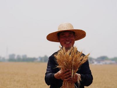 “齐”心“鲁”力 | 种粮大户的增产经   