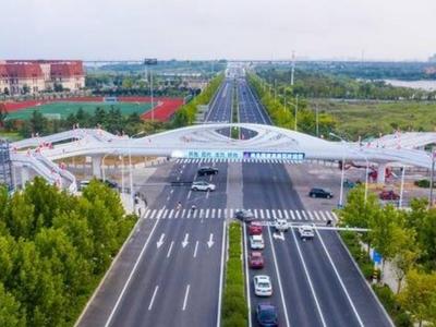 多措并举，山东全力稳增长稳市场主体