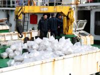 对虾、梭子蟹……被“种”到海里？看镜头