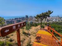 宝藏视角！浮山上有条观海路