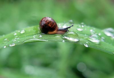 透过镜头，看这场酣畅淋漓的夏雨