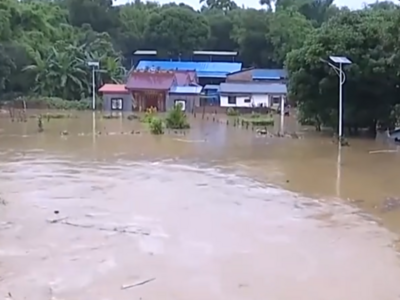 中央气象台今天继续发布暴雨黄色预警，南方多地已遭遇洪水