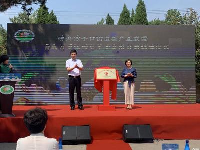 打造一二三产融合发展的精品崂山茶产业基地，沙子口街道成立崂山茶产业联盟