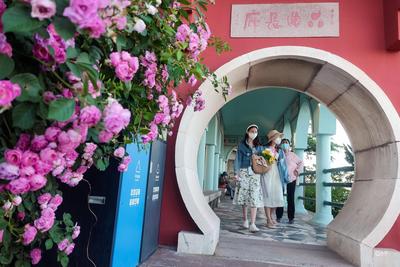 夏日打卡信号山公园，360°纵览山海美景 