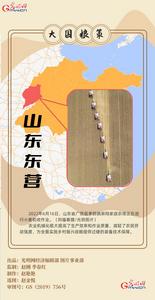 全国小麦收获逾九成，又到夏粮好“丰景”