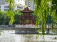 幽静惬意，即墨这里藏着一处“小江南”