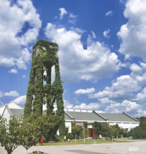 端午节去哪玩？纺织谷大波活动接“粽”而至！