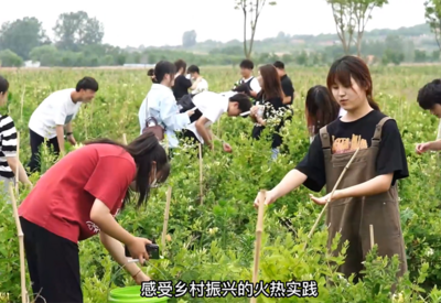 工赋青岛+乡村振兴=？这场实践活动有答案